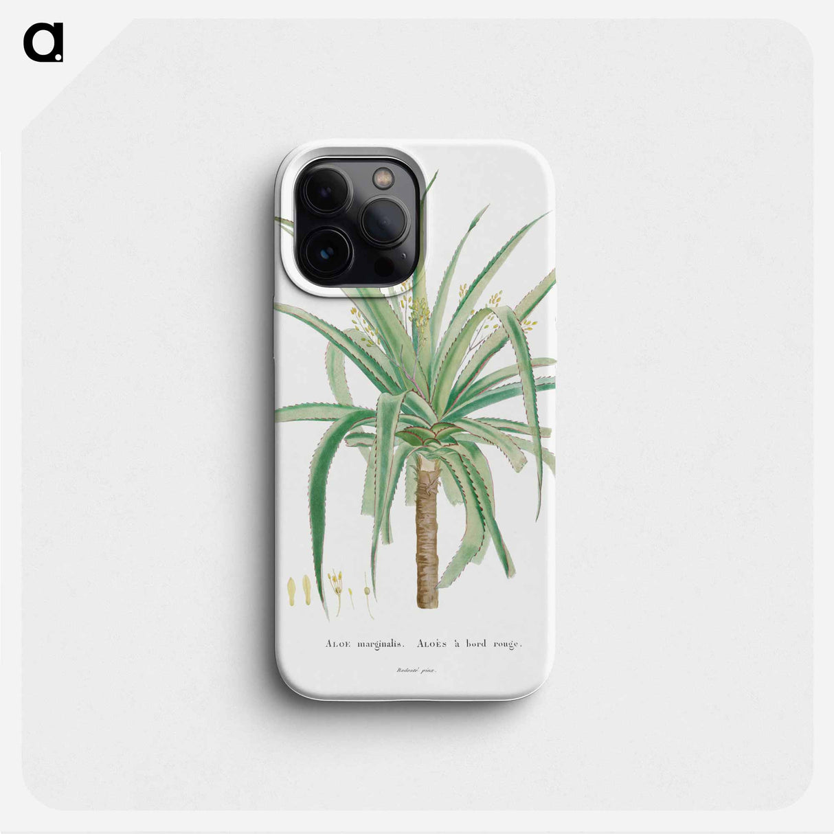 Aloe Marginalis - Pierre Joseph Redouté Phone Case.