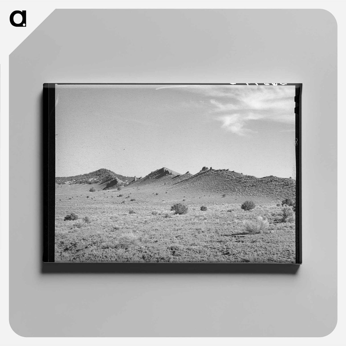 アートパネル-Privy in Corral
 - ラッセル リー Canvas.