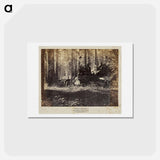 アートポストカード-The Father of the Forest
 - エドワード マイブリッジ Postcard.