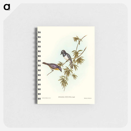 アートメモ帳-Pretty Flycatcher
 - オーストラリアの鳥 Memo.