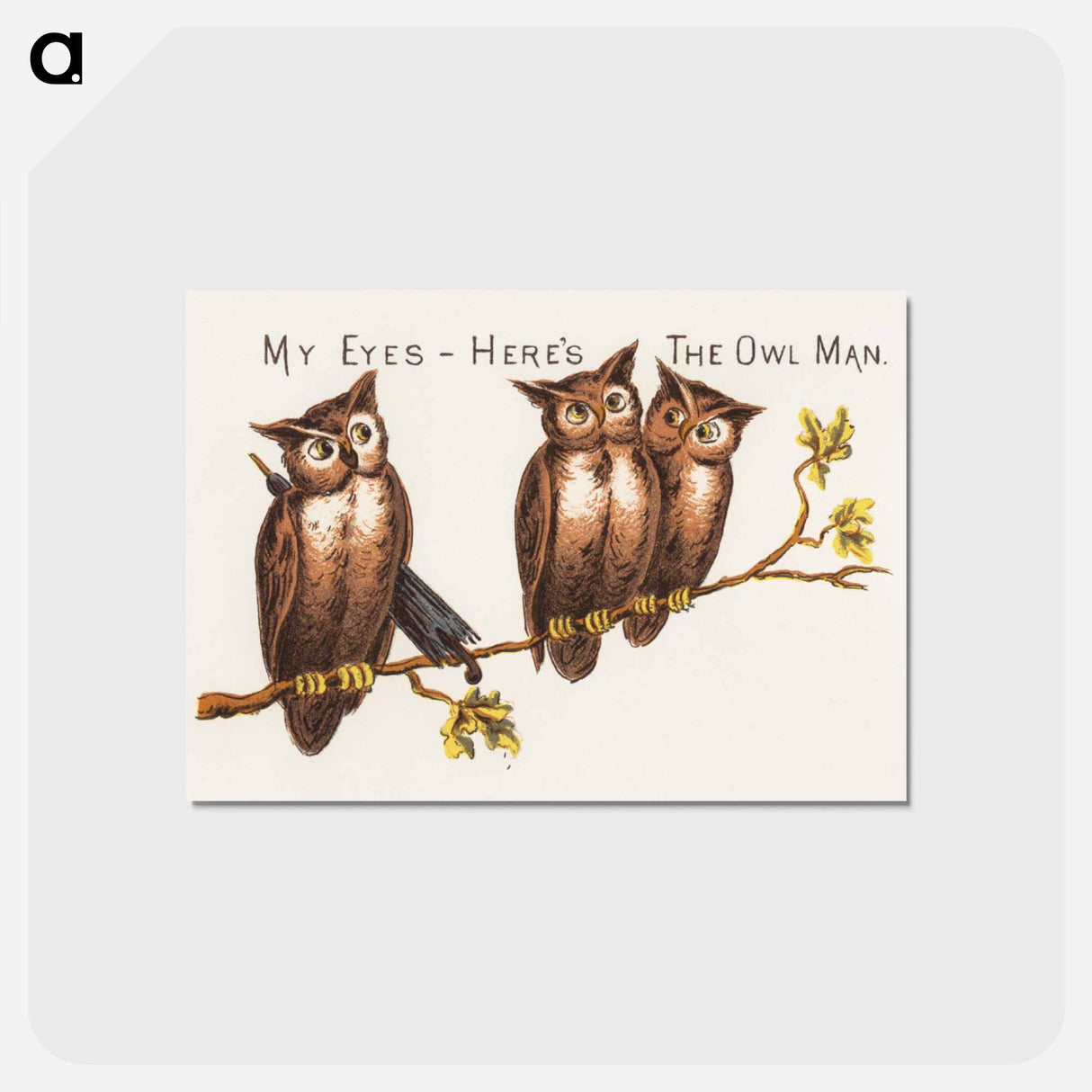アートポストカード-The Owl Man
 - ボストン公共図書館 Postcard.