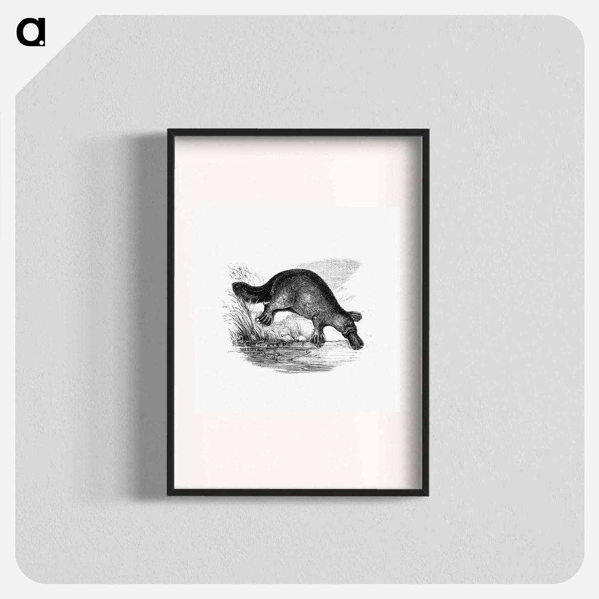 アートポスター-Duck-Billed Platypus
 - 大英図書館 Poster.