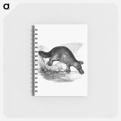 アートメモ帳-Duck-Billed Platypus
 - 大英図書館 Memo.