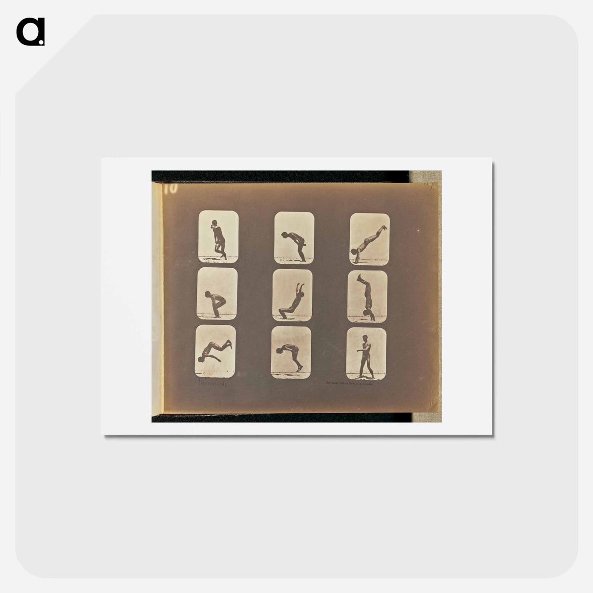 アートポストカード-Incomplete
 - エドワード マイブリッジ Postcard.