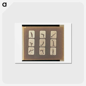 アートポストカード-Incomplete
 - エドワード マイブリッジ Postcard.