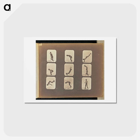 アートポストカード-Incomplete
 - エドワード マイブリッジ Postcard.