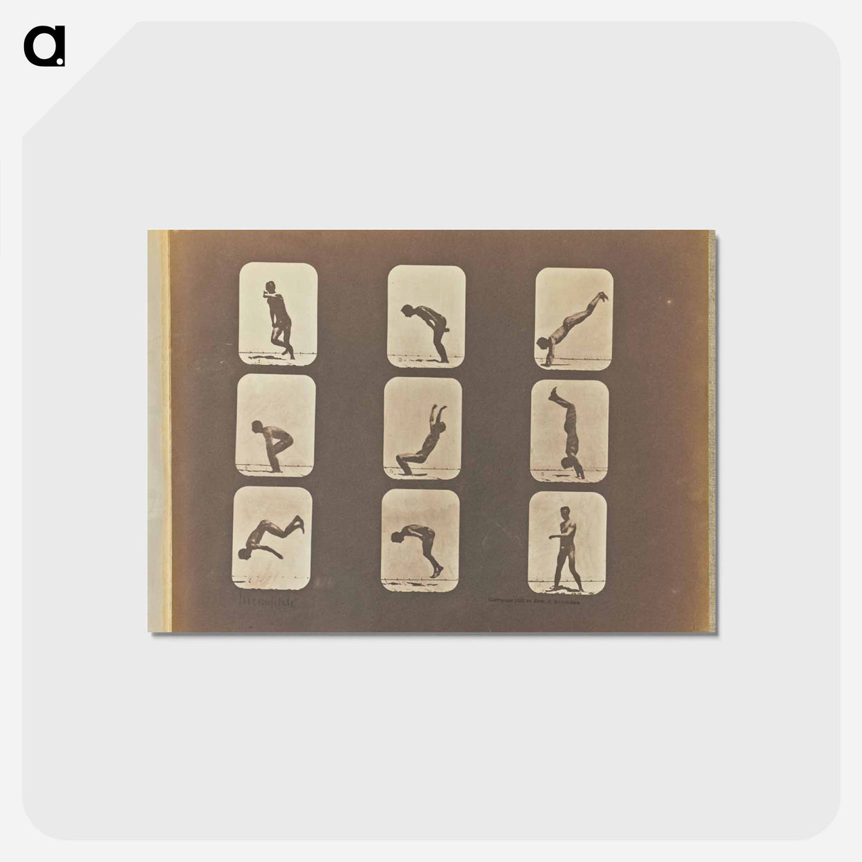 アートポストカード-Incomplete
 - エドワード マイブリッジ Postcard.