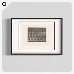 アートポスター-Man Catching a Ball
 - エドワード マイブリッジ Poster.