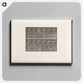 アートパネル-Man Catching a Ball
 - エドワード マイブリッジ Canvas.