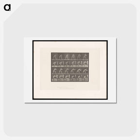 アートポストカード-Man Catching a Ball
 - エドワード マイブリッジ Postcard.