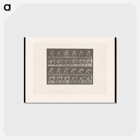 アートポストカード-Man Catching a Ball
 - エドワード マイブリッジ Postcard.