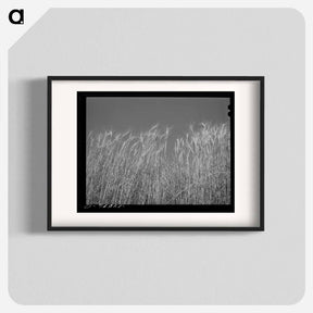 アートポスター-Ripe Wheat Field
 - ラッセル リー Poster.