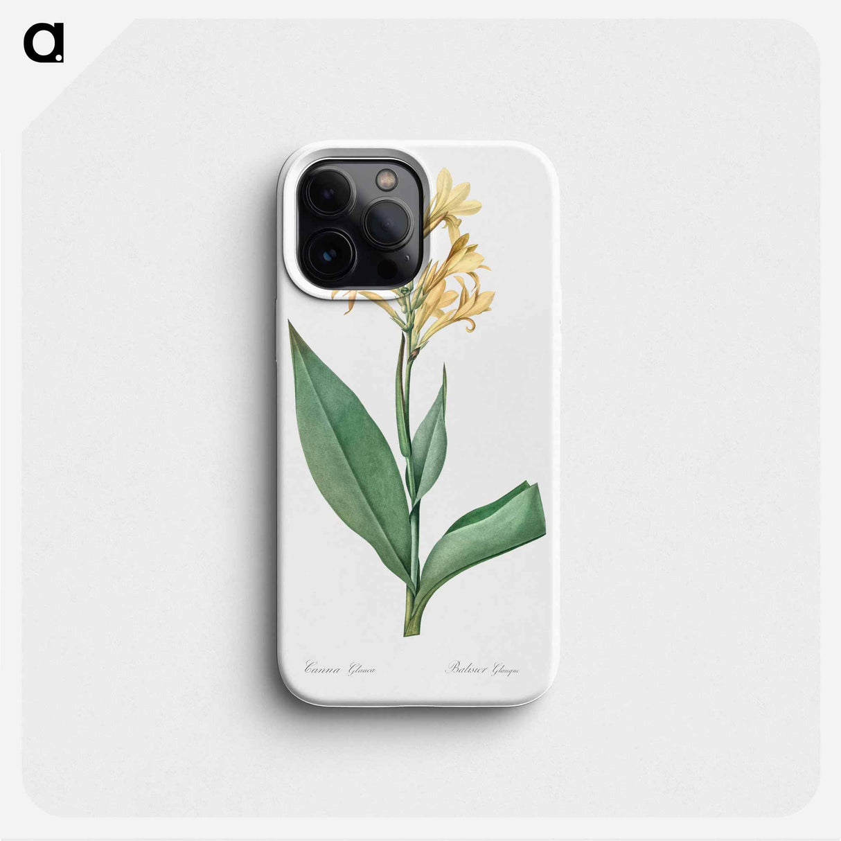 Water canna illustration - Pierre Joseph Redouté Phone Case.