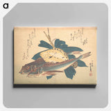アートパネル-Kanagashira and Karei Fish, from the series Uozukushi (Every Variety of Fish)
 - 歌川 広重 Canvas.