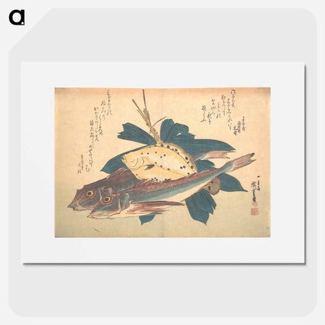 アートポスター-Kanagashira and Karei Fish, from the series Uozukushi (Every Variety of Fish)
 - 歌川 広重 Poster.