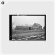 アートポストカード-Farm Building on Rex Inman Farm
 - ラッセル リー Postcard.