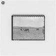 アートメモ帳-Cattle Licking Salt on the Range
 - ラッセル リー Memo.