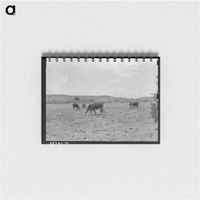 アートメモ帳-Cattle Licking Salt on the Range
 - ラッセル リー Memo.