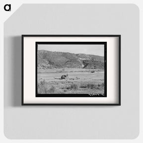 アートポスター-Putting Up Hay in a Mountain Valley, Ouray County
 - ラッセル リー Poster.