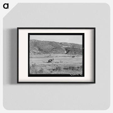Putting Up Hay in a Mountain Valley, Ouray County
 - ラッセル リー Poster.