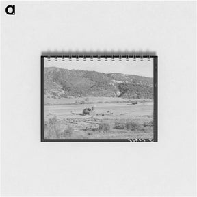 アートメモ帳-Putting Up Hay in a Mountain Valley, Ouray County
 - ラッセル リー Memo.