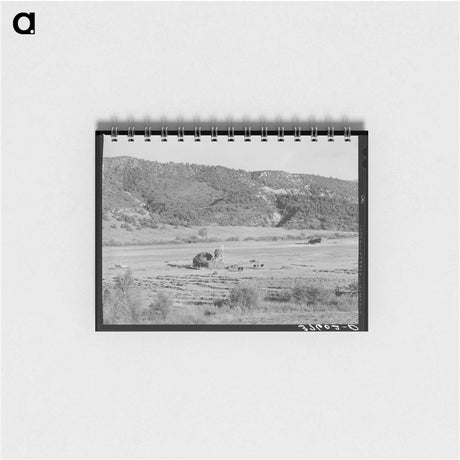 アートメモ帳-Putting Up Hay in a Mountain Valley, Ouray County
 - ラッセル リー Memo.