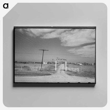アートパネル-Entrance to Dairy, Tom Green County, Near San Angelo, Texas
 - ラッセル リー Canvas.