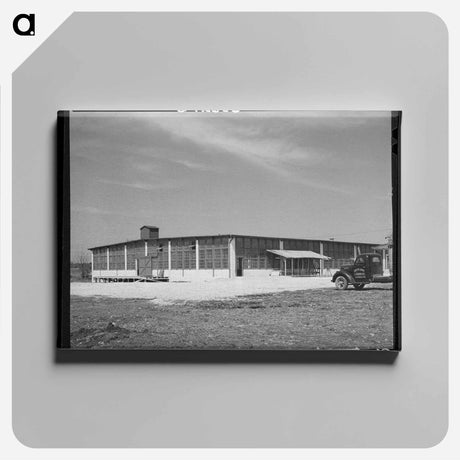 アートパネル-Wool and Mohair Scouring Plant, San Marcos
 - ラッセル リー Canvas.
