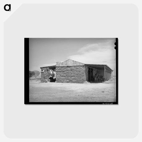 アートポストカード-Baled Hay, Casa Grande Valley Farms, Pinal County, Arizona
 - ラッセル リー Postcard.
