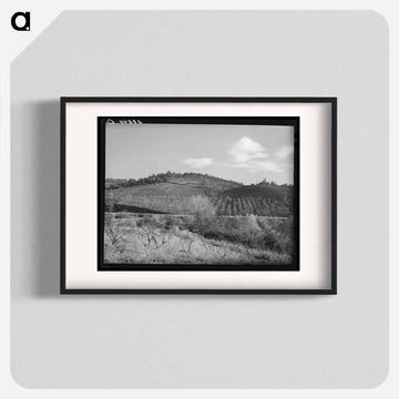 Fruit Orchards, Placer County
 - ラッセル リー Poster.