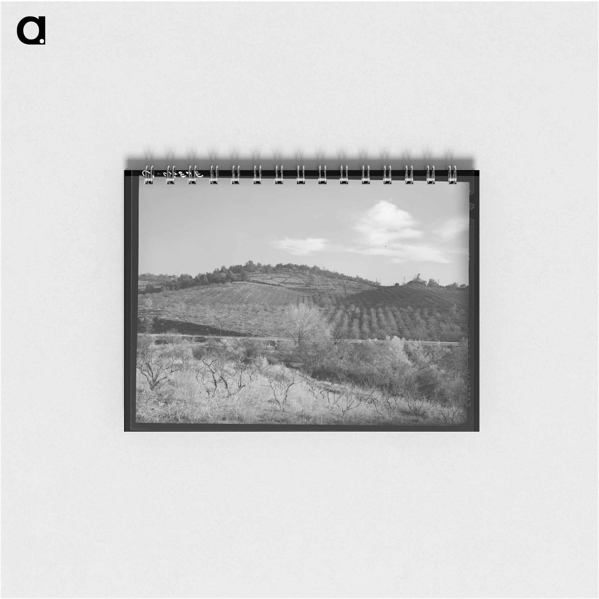 アートメモ帳-Fruit Orchards, Placer County
 - ラッセル リー Memo.