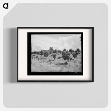 Orchard, Canyon County, Idaho
 - ラッセル リー Poster.