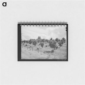 アートメモ帳-Orchard, Canyon County, Idaho
 - ラッセル リー Memo.