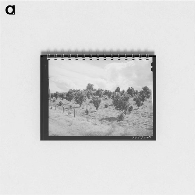 アートメモ帳-Orchard, Canyon County, Idaho
 - ラッセル リー Memo.