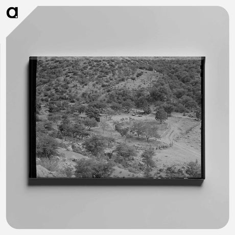 アートパネル-Ranch in Cochise County, Arizona
 - ラッセル リー Canvas.