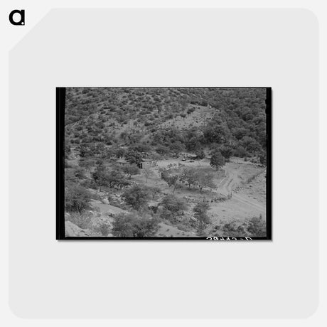 アートポストカード-Ranch in Cochise County, Arizona
 - ラッセル リー Postcard.