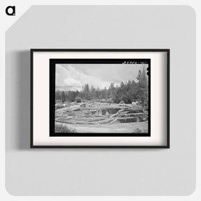 アートポスター-Logs in Pond, Cascade, Idaho
 - ラッセル リー Poster.