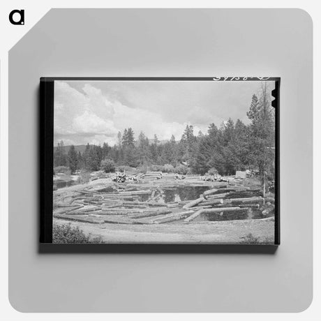 アートパネル-Logs in Pond, Cascade, Idaho
 - ラッセル リー Canvas.