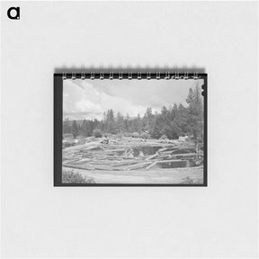 アートメモ帳-Logs in Pond, Cascade, Idaho
 - ラッセル リー Memo.