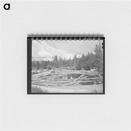 アートメモ帳-Logs in Pond, Cascade, Idaho
 - ラッセル リー Memo.