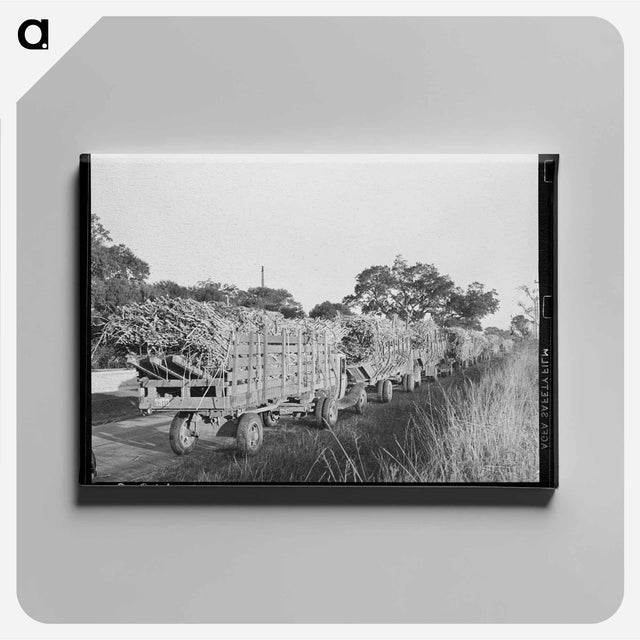 アートパネル-Sugarcane Trucks at Jeanerette Mill
 - ラッセル リー Canvas.