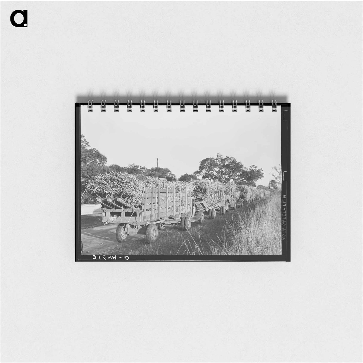 アートメモ帳-Sugarcane Trucks at Jeanerette Mill
 - ラッセル リー Memo.