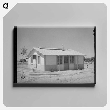 アートパネル-Dwelling, Agua Fria Migratory Labor Camp, Arizona
 - ラッセル リー Canvas.