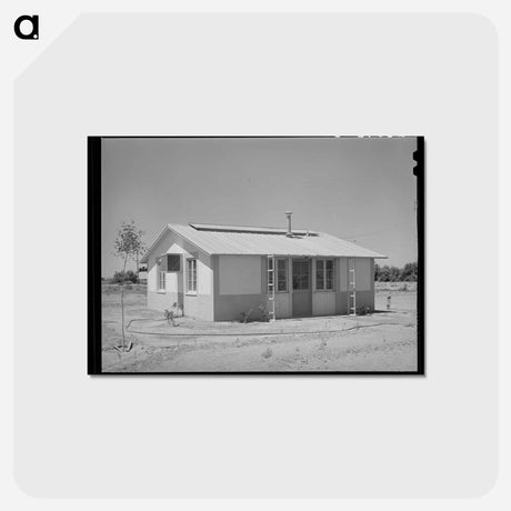 アートポストカード-Dwelling, Agua Fria Migratory Labor Camp, Arizona
 - ラッセル リー Postcard.