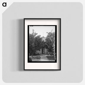 アートポスター-Orange Trees, Placer County, California
 - ラッセル リー Poster.