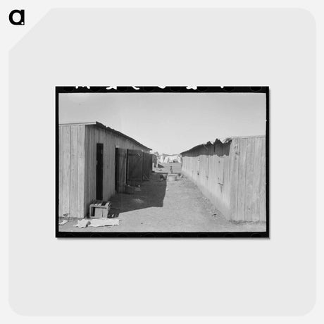 アートポストカード-Mexican Houses, Robstown, Texas
 - ラッセル リー Postcard.