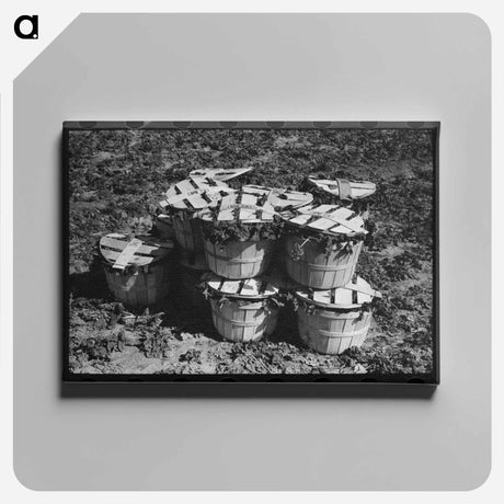 アートパネル-Baskets of Spinach, La Pryor, Texas
 - ラッセル リー Canvas.