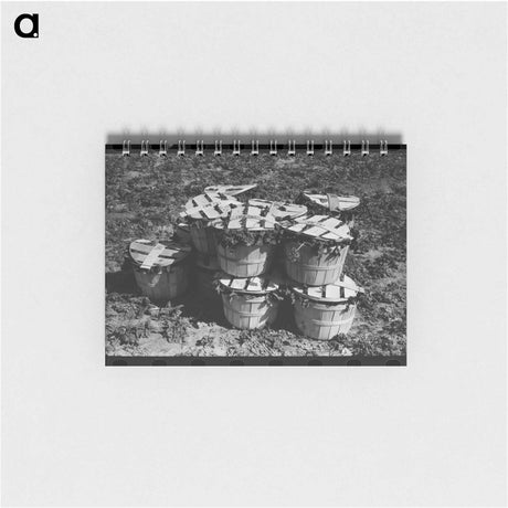 アートメモ帳-Baskets of Spinach, La Pryor, Texas
 - ラッセル リー Memo.