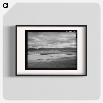 Flood Irrigation Lands, Little Colorado River Valley
 - ラッセル リー Poster.