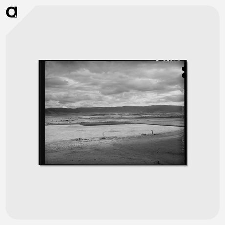 アートポストカード-Flood Irrigation Lands, Little Colorado River Valley
 - ラッセル リー Postcard.